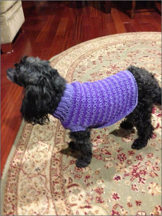 Crochet For Dogs Free Patterns