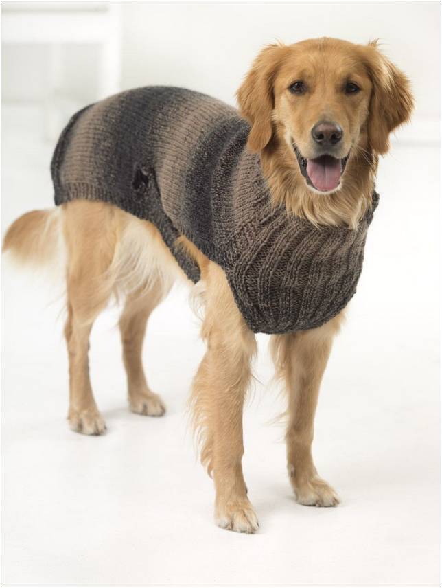 Crochet Pattern For Xxl Dog Sweater