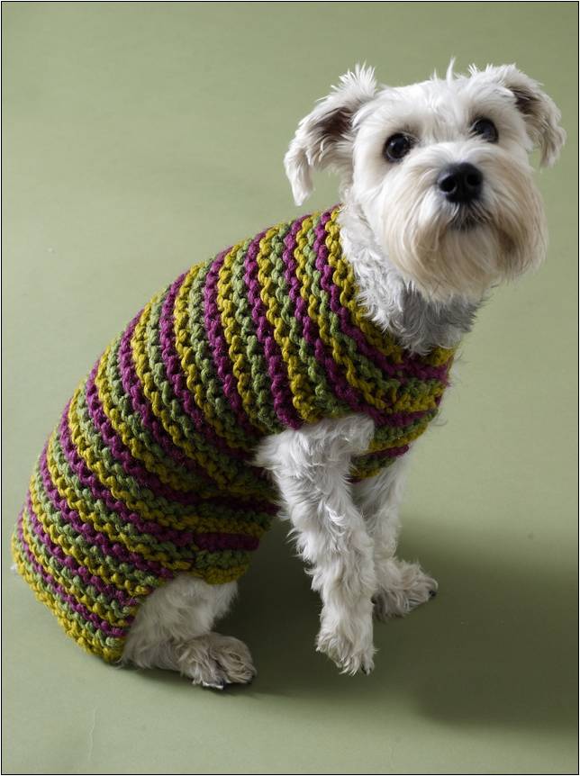 Crochet Small Dog Sweater Patterns Free
