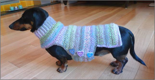 Free Crochet Dog Sweater Pattern Dachshund