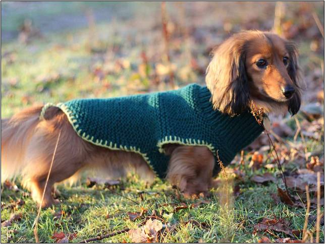 Simple Crochet Pattern For Small Dog Sweater
